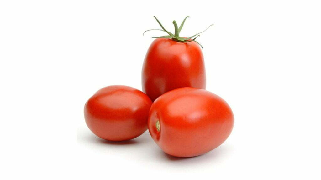 tomate hibrido ap529