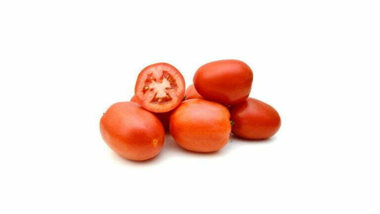 tomate hibrido ap533