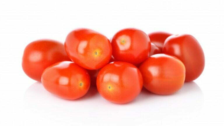tomate hibrido santawest