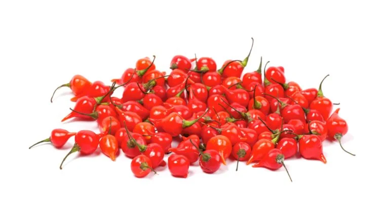 pimenta biquinho