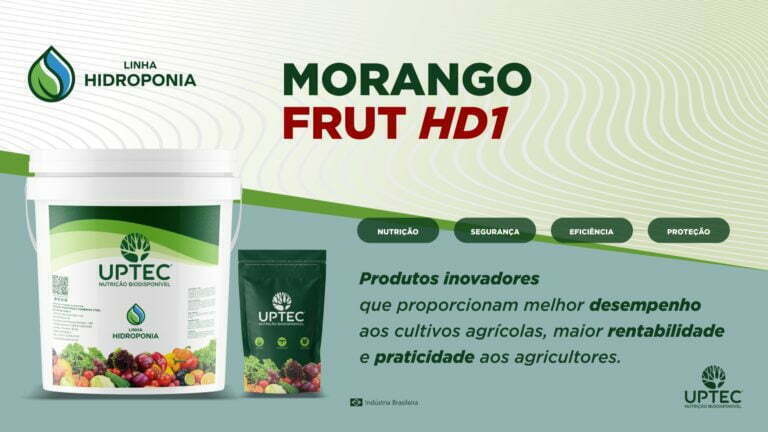 site-morango-frut-hd1