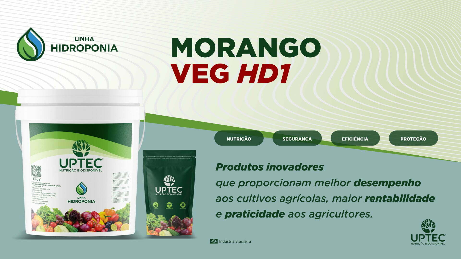 site-morango-veg-hd1