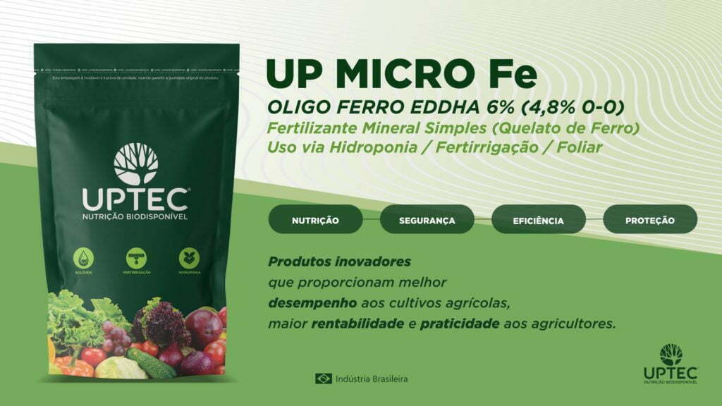 site-up-micro-fe