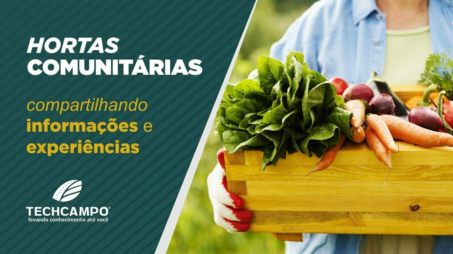 hortas comunitárias