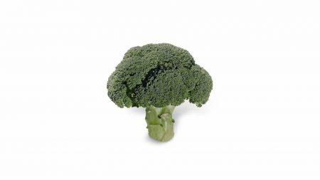 brócolis hibrido domador
